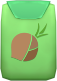 Onion Seed